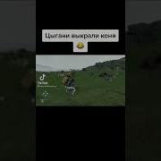 Цыгани Выкрали Коня Шо Це За Ху Ня Marmok