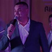 Алмаз Мирзаянов Ромашкалар