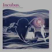 Anything Incubus