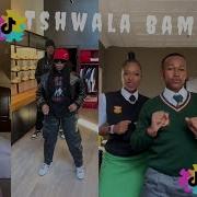 Tshwala Bam Tiktok Dance Challenge The Best Of