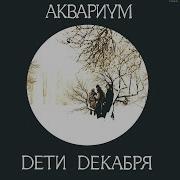 Аквариум Дети Декабря