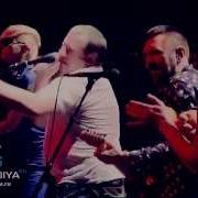 Группировка Ленинград Александр Адольович Пузо Дорожная Ехай Нахуй
