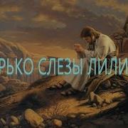 Горько Слезы Лились
