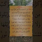 الله نور السماوات و الأرض