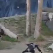 Щас Зарежу Нахооой