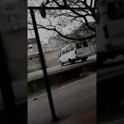 Что Такое Жчч