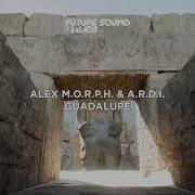 Alex M O R P H A R D I Guadalupe
