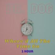 Dr Dog Where D All The Time Go 1 Hour Loop Tik Tok Trending Wander