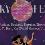 Groove Junkies Reelsoul Tertulien Thomas Mijan It Seems To Hang On David Harness Vox Mix