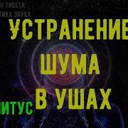 Матрица Гаряева От Шума В Ушах