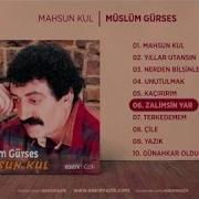 Müslüm Gürses Zalimsin Yar