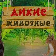 Дикие Животные Для Детей Животные Леса Развивающее Видео Для Детей
