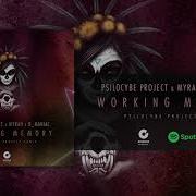 Working Memory Psilocybe Project Remix Psilocybe Project