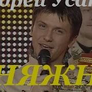 Андрэй Усанаў Песняры Княжна
