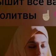 Ассаламу Алейкум Варахматуллахи Вабаракатуллахи Дорогие Братья И
