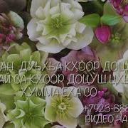 Хьоме Йиши К1Ант