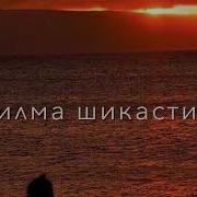 Дардум Меша Зиёд Ту Да Барм Нести