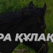 Қара Қулақ