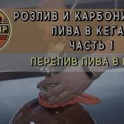 Пиво Из Кега Наливаем Без Лишней Пены