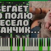 Бегает По Полю Весело Кабанчик Midi