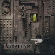 Назад В Архангельск Akvarium
