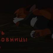 Коты Воители Кленовица