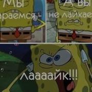 У Санса Хрен Моржовый