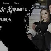 Қуаныш Қарлығаш Ән Жинақ