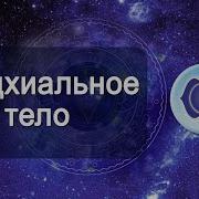 Тонкие Тела Человека Буддхиальное Тело