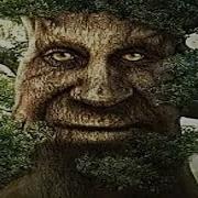 Wise Tree Meme