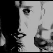 Звери Рома Извини Cover