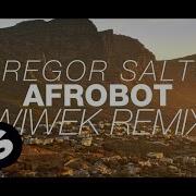 Gregor Salto Afrobot