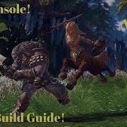 Tera Console Slayer Build Guide