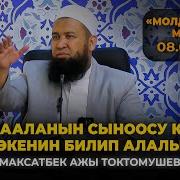 Максат Ажы Токтомушев Баян