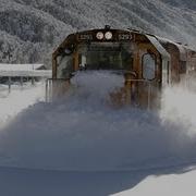 Deep Train