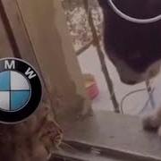 Мерседес Vs Bmw Нормальную Машину На Три Буквы Не Назовут