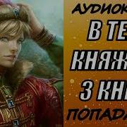 Аудиокнига Княжичь Книга 3