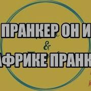Антиколектор Гагарин Инна Гагарина