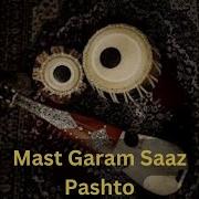 Mast Garam Saz Ali Khan