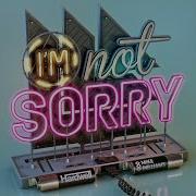 Hardwell Mike Williams I M Not Sorry Extended Mix