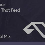 Hands That Feed Enamour