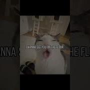 On The Floor Remove Face Edit