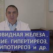 Настрой Сытина Лечение Эндокриной Системы