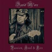 David M Ore The Devil S Land