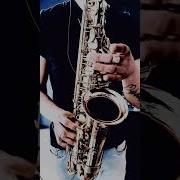 Ирина Аллегрова Saxophone