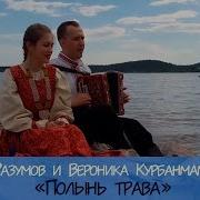 Полынь Трава Песня На Гармошке