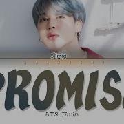 Jimin Promis