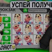 Ми Ми Ми Кошки