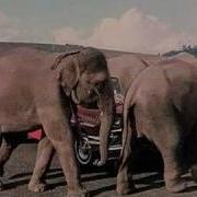 Chal Chal Chal Mere Saathi Video Song Haathi Mere Saathi Rajesh