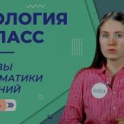 26 Й Параграф Основы Систематики Растений